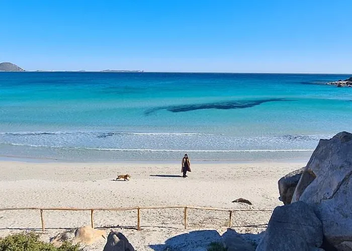 House Iun R6533 * فيلاّسيمِيوس